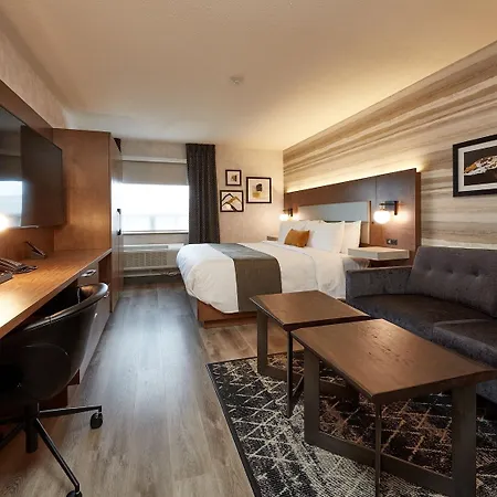 Stay Inn Hotel Toronto photo