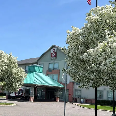 Best Western Plus Travel Hotel Toronto Airport photo